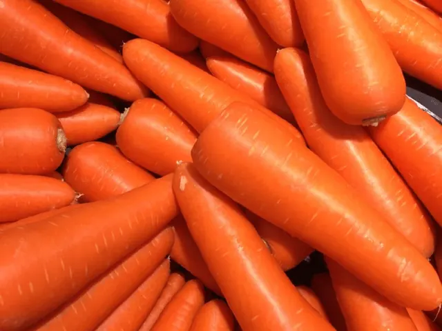 Carottes fraîches du Maroc lavées pour l'export
